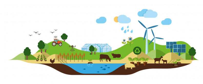 Logo forward farming